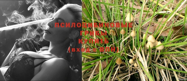 герыч Пестово