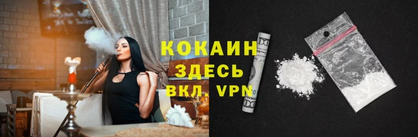 прущие грибы Абаза