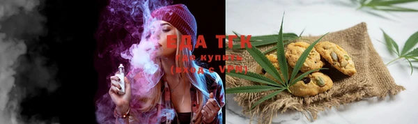 прущие грибы Абаза