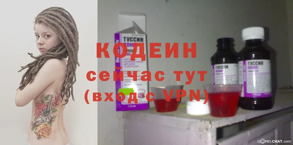 прущие грибы Абаза