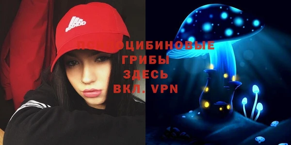 стаф Пересвет