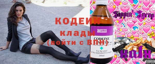 стаф Пересвет