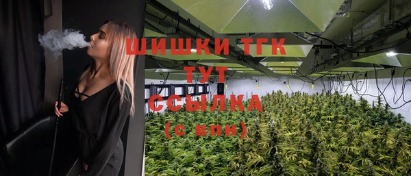 герыч Пестово