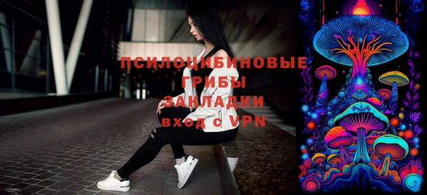 герыч Пестово