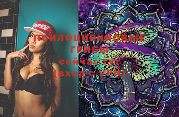 стаф Пересвет