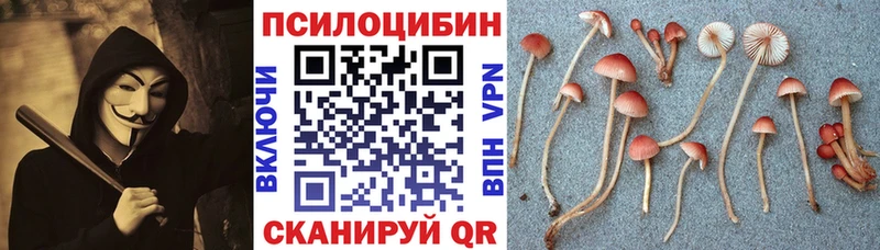 Псилоцибиновые грибы ЛСД  Бежецк 